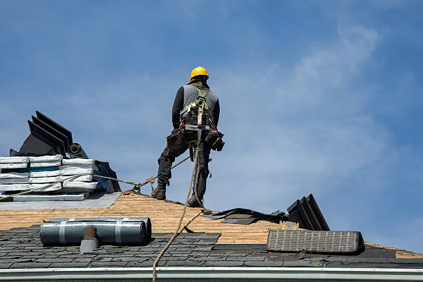 Professional Roof Inspection technician working in Webster, IN